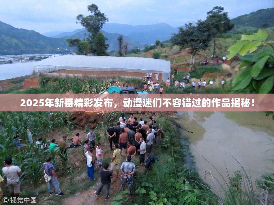 2025年新番精彩发布，动漫迷们不容错过的作品揭秘！