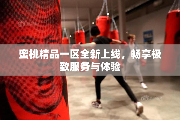 蜜桃精品一区全新上线，畅享极致服务与体验