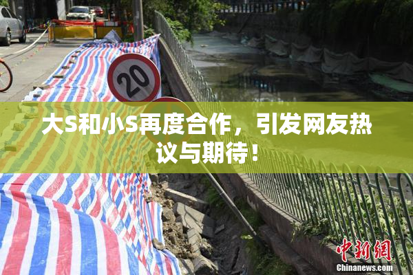 大S和小S再度合作，引发网友热议与期待！