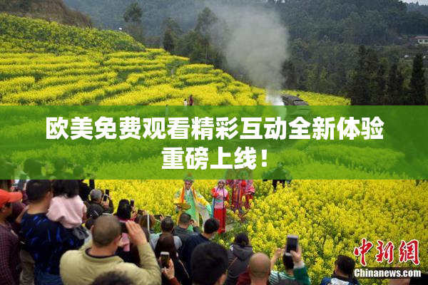 欧美免费观看精彩互动全新体验重磅上线！