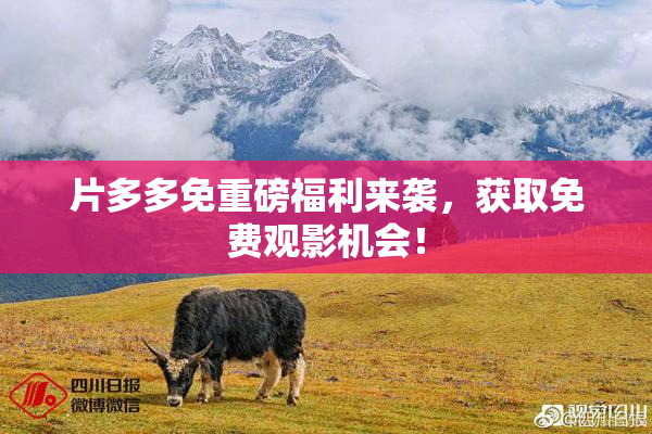 片多多免重磅福利来袭，获取免费观影机会！