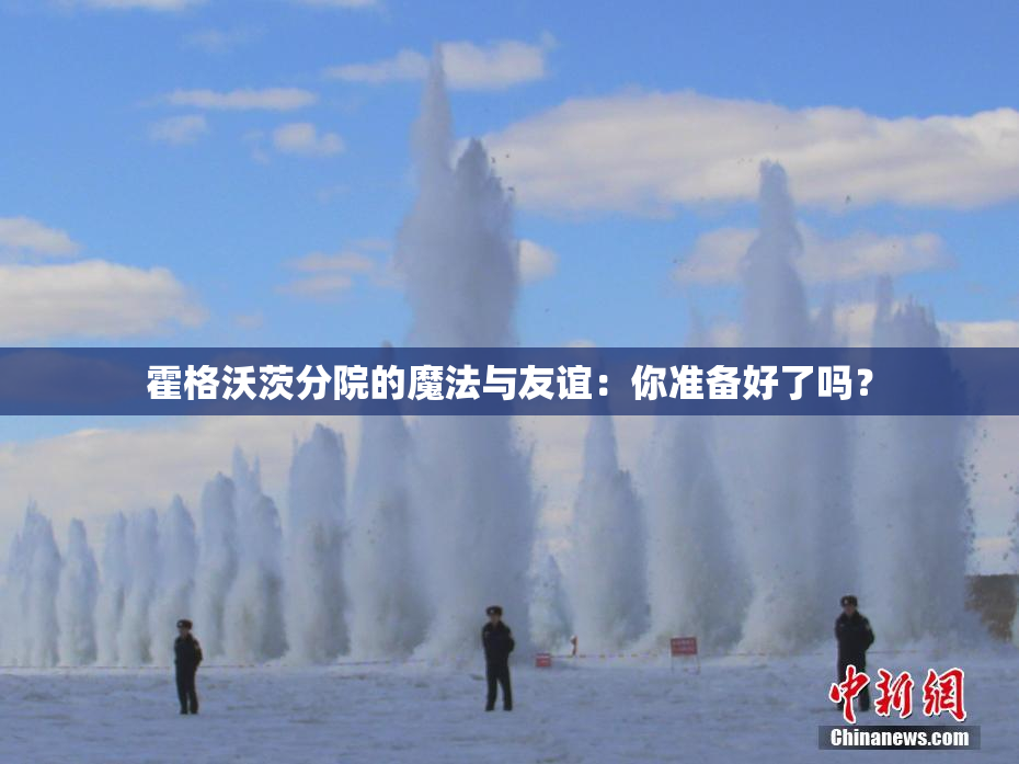 霍格沃茨分院的魔法与友谊：你准备好了吗？