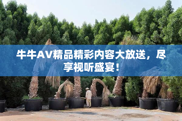 牛牛AV精品精彩内容大放送，尽享视听盛宴！