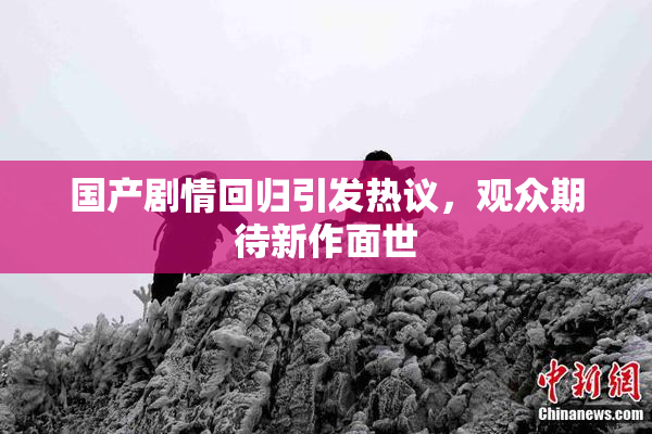 国产剧情回归引发热议，观众期待新作面世
