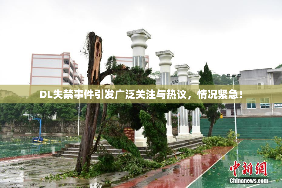 DL失禁事件引发广泛关注与热议，情况紧急！