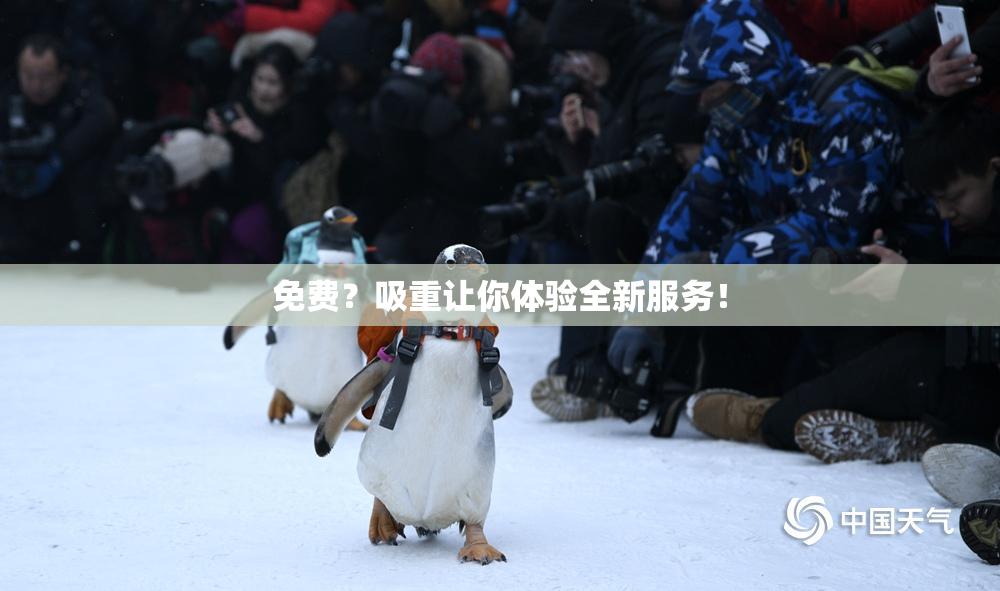免费？吸重让你体验全新服务！