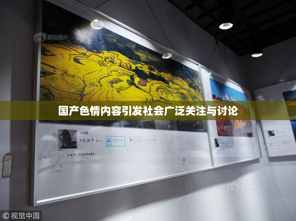 国产色情内容引发社会广泛关注与讨论