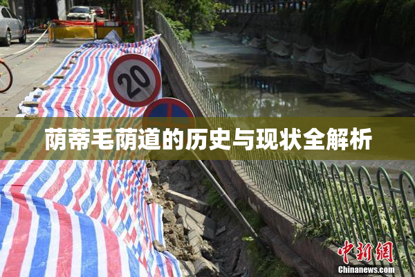 荫蒂毛荫道的历史与现状全解析