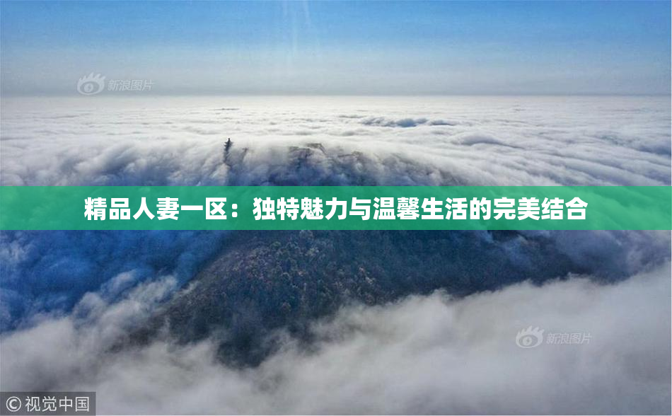 精品人妻一区：独特魅力与温馨生活的完美结合