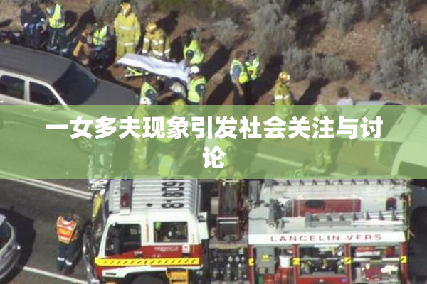 一女多夫现象引发社会关注与讨论