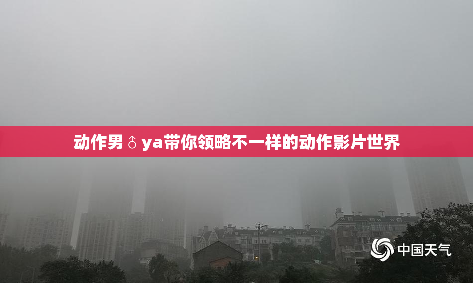 动作男♂ya带你领略不一样的动作影片世界