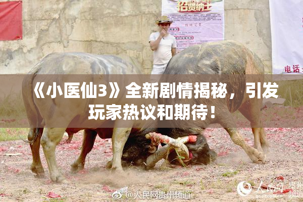《小医仙3》全新剧情揭秘，引发玩家热议和期待！