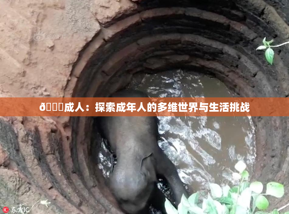 🔞成人：探索成年人的多维世界与生活挑战