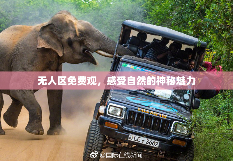 无人区免费观，感受自然的神秘魅力