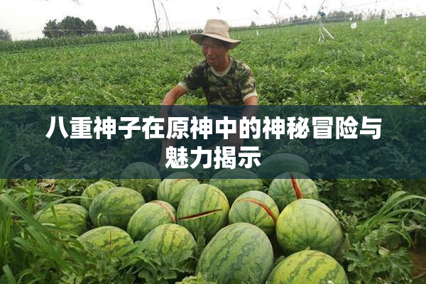 八重神子在原神中的神秘冒险与魅力揭示