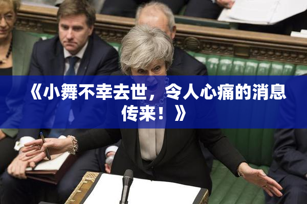 《小舞不幸去世，令人心痛的消息传来！》