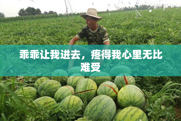 乖乖让我进去，疼得我心里无比难受