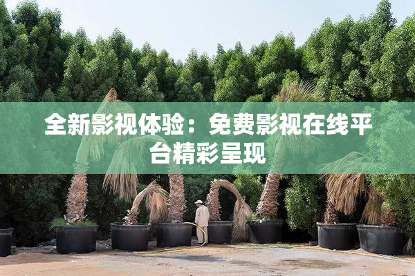 全新影视体验：免费影视在线平台精彩呈现
