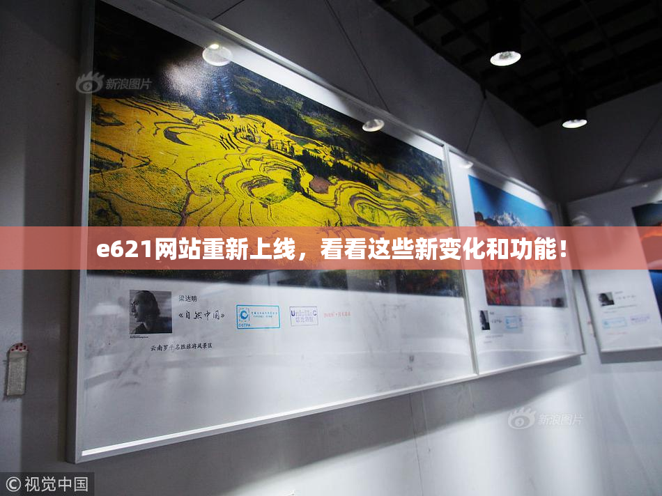 e621网站重新上线，看看这些新变化和功能！