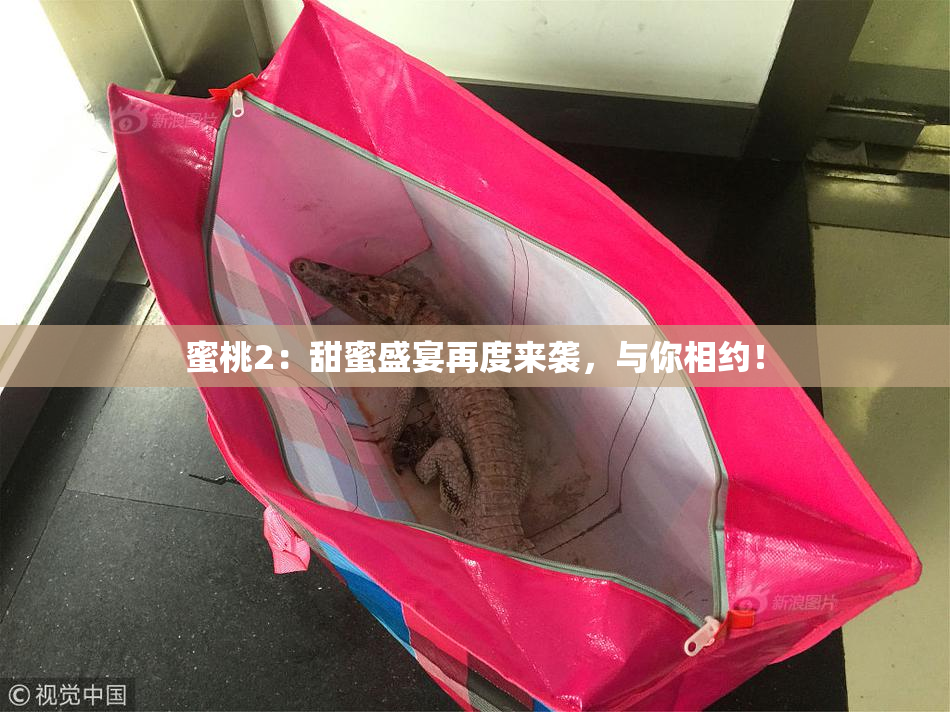 蜜桃2：甜蜜盛宴再度来袭，与你相约！