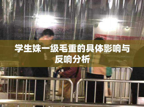 学生姝一级毛重的具体影响与反响分析