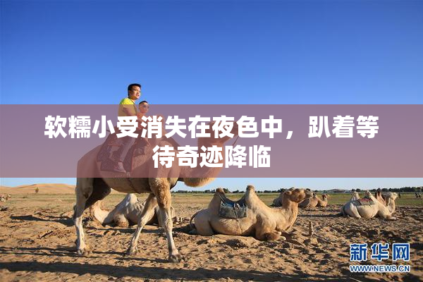 软糯小受消失在夜色中，趴着等待奇迹降临