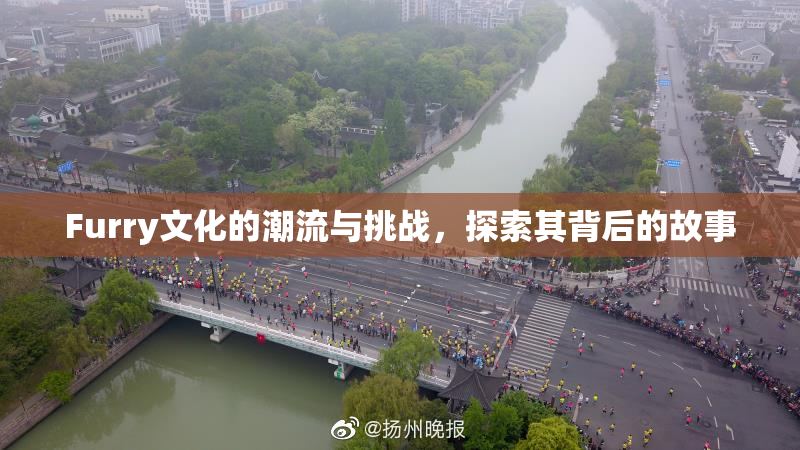 Furry文化的潮流与挑战，探索其背后的故事