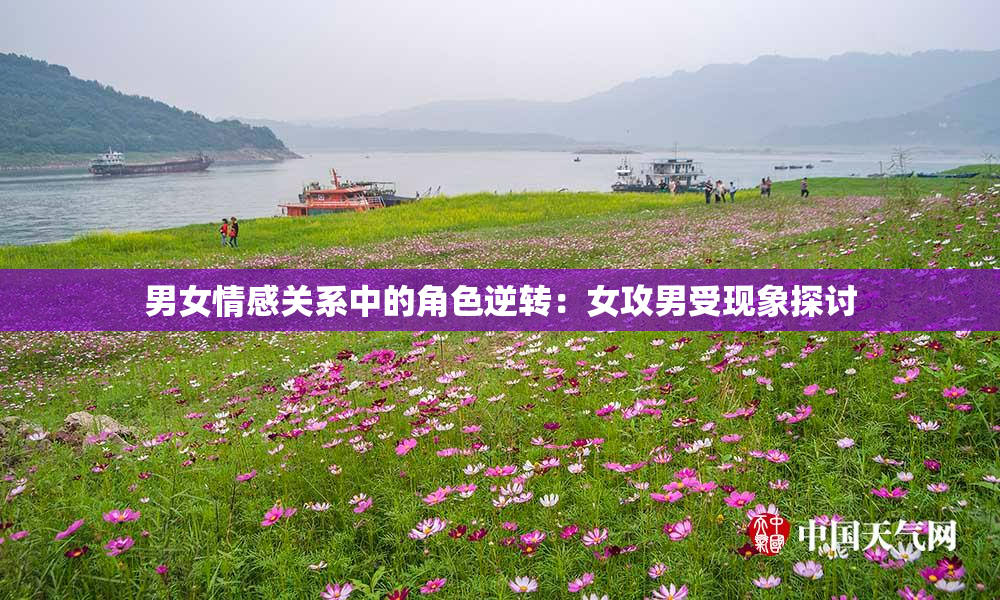男女情感关系中的角色逆转：女攻男受现象探讨