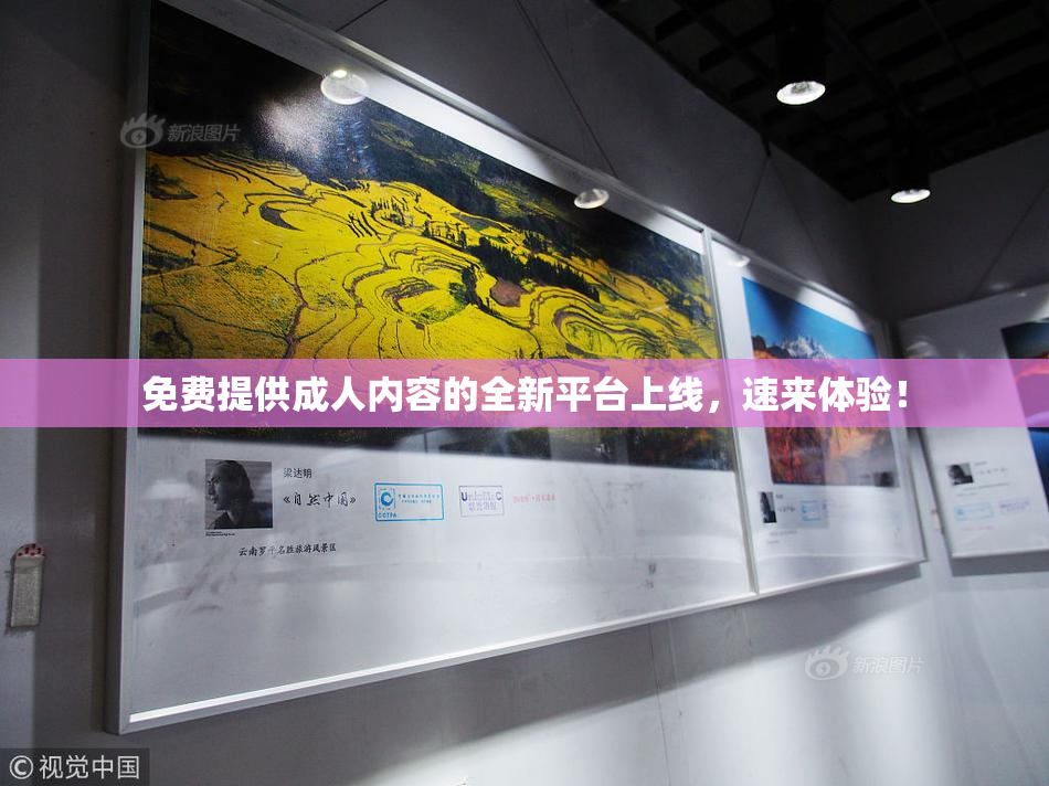 免费提供成人内容的全新平台上线，速来体验！