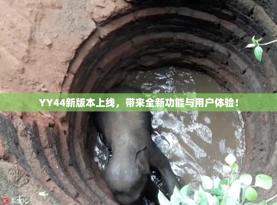 YY44新版本上线，带来全新功能与用户体验！