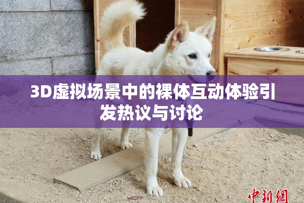 3D虚拟场景中的裸体互动体验引发热议与讨论