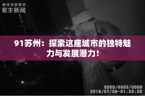 91苏州：探索这座城市的独特魅力与发展潜力！