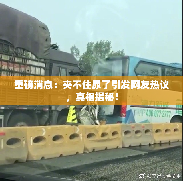 重磅消息：夹不住尿了引发网友热议，真相揭秘！