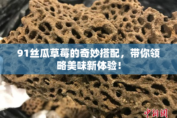 91丝瓜草莓的奇妙搭配，带你领略美味新体验！