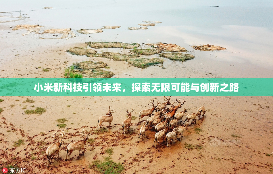 小米新科技引领未来，探索无限可能与创新之路