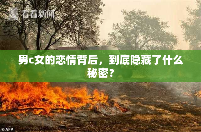 男c女的恋情背后，到底隐藏了什么秘密？