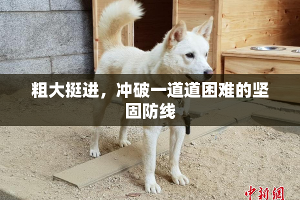粗大挺进，冲破一道道困难的坚固防线