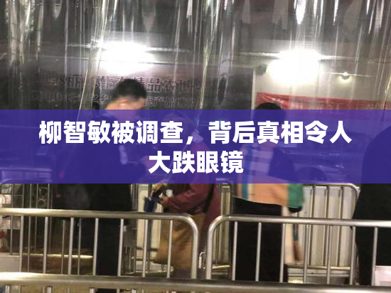 柳智敏被调查，背后真相令人大跌眼镜