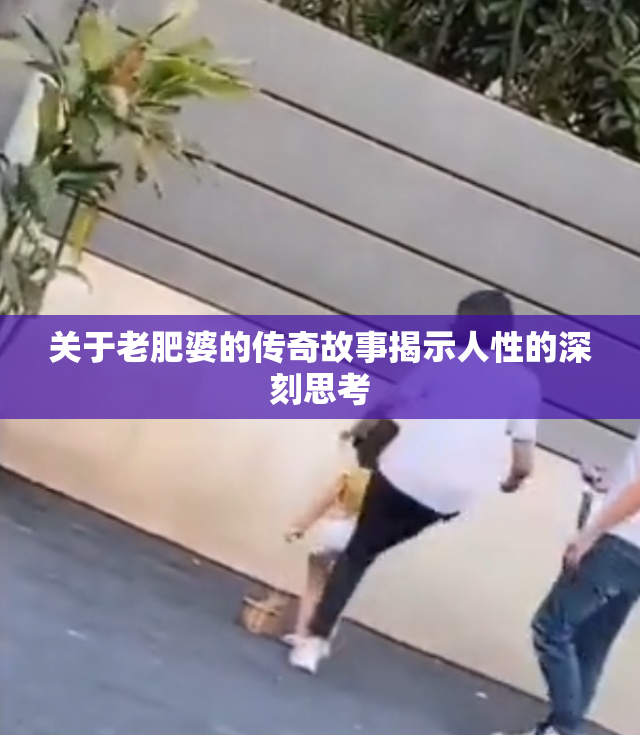 关于老肥婆的传奇故事揭示人性的深刻思考