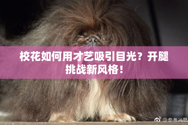 校花如何用才艺吸引目光？开腿挑战新风格！