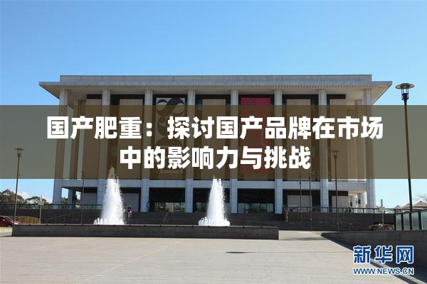 国产肥重：探讨国产品牌在市场中的影响力与挑战