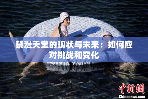 禁漫天堂的现状与未来：如何应对挑战和变化