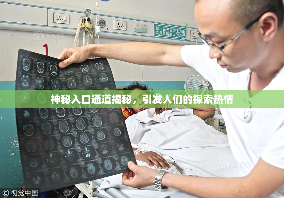 神秘入口通道揭秘，引发人们的探索热情