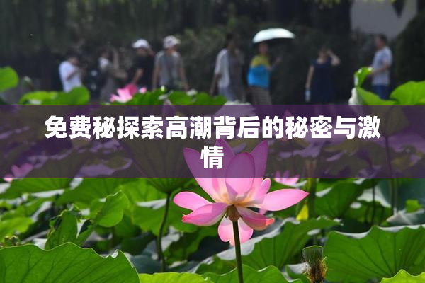 免费秘探索高潮背后的秘密与激情