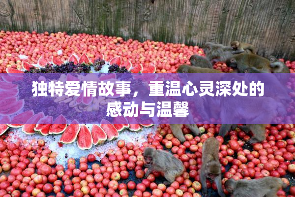 独特爱情故事，重温心灵深处的感动与温馨