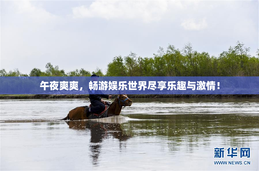 午夜爽爽，畅游娱乐世界尽享乐趣与激情！