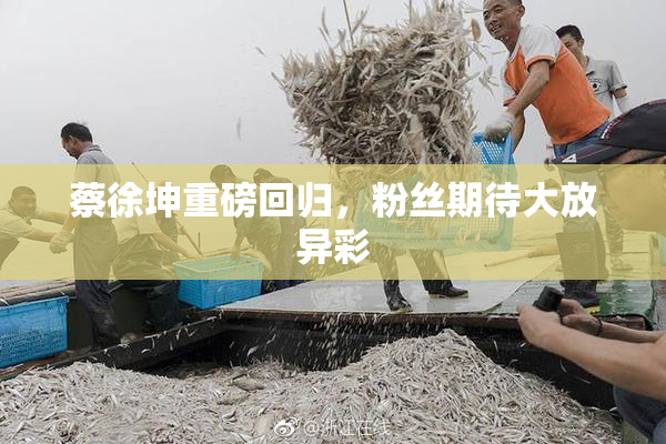 蔡徐坤重磅回归，粉丝期待大放异彩