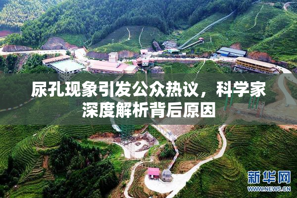 尿孔现象引发公众热议，科学家深度解析背后原因