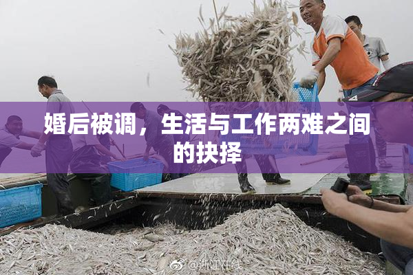 婚后被调，生活与工作两难之间的抉择