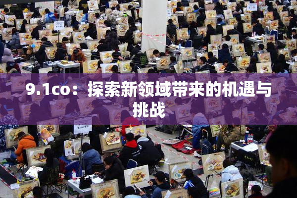 9.1co：探索新领域带来的机遇与挑战